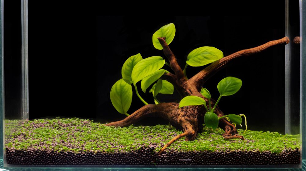 Photograph by Валерий Баклаженко