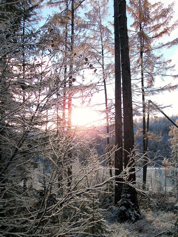 Photograph by Андрей Звездов