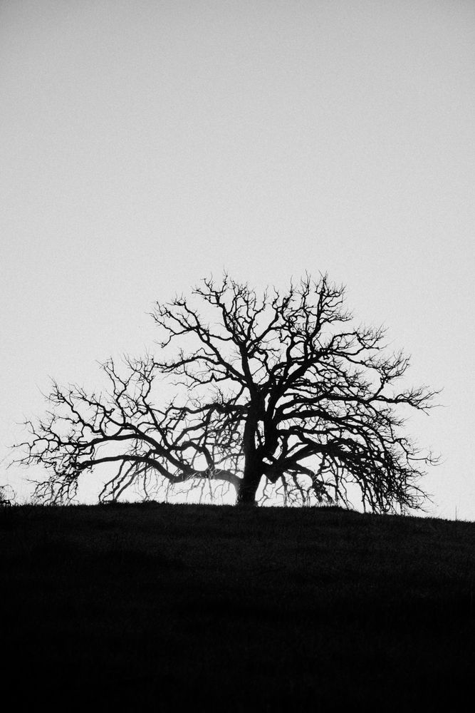 Photograph by Anna Vlasova