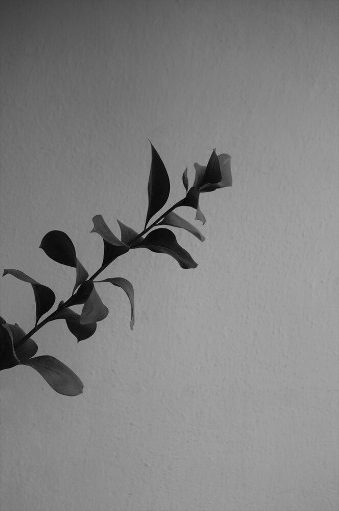 Фотография автора Анастасия Шульгина