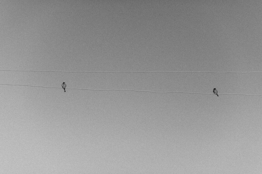 Photograph by Елизавета Суворова