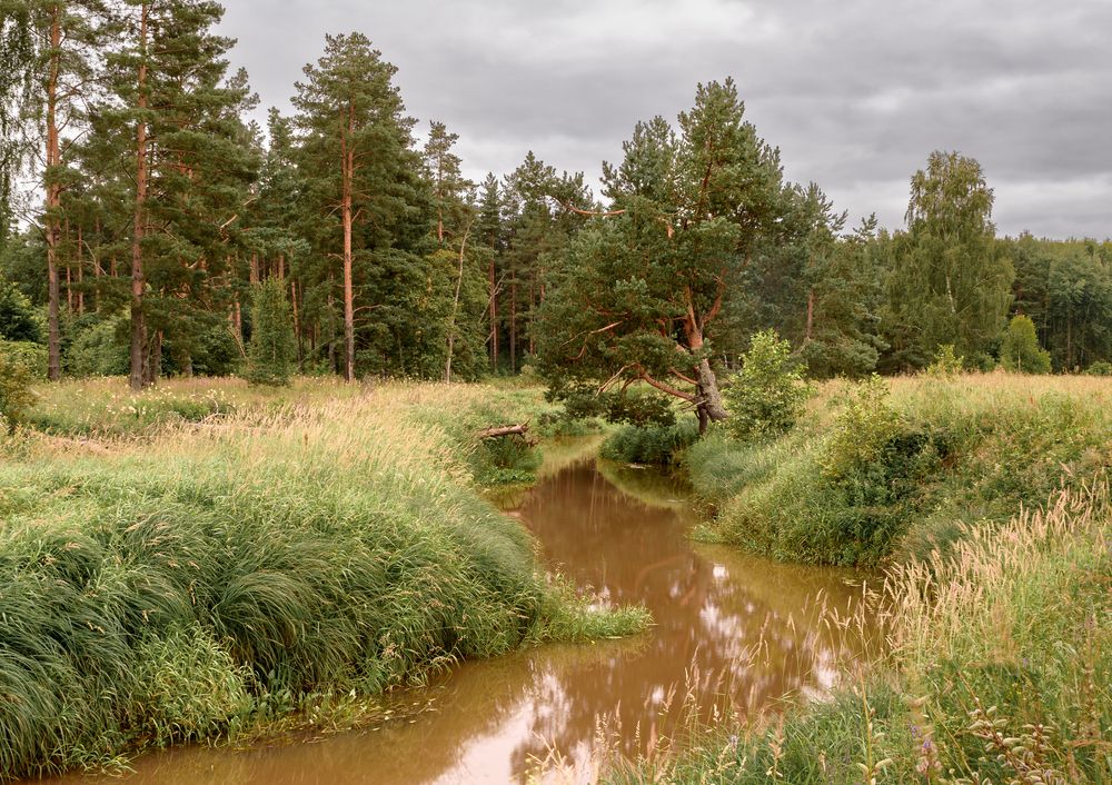 Всю неделю шли дожди