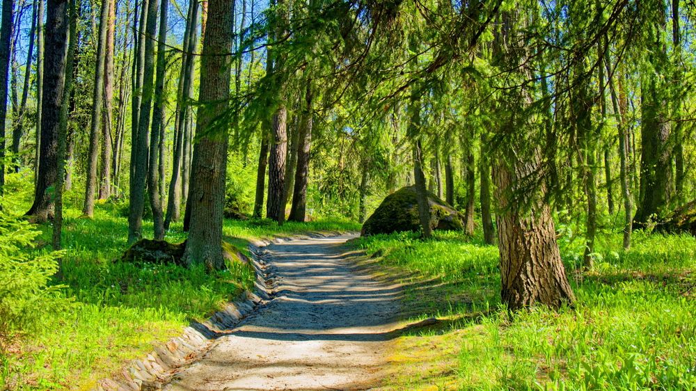 Photograph by Андрей Панин