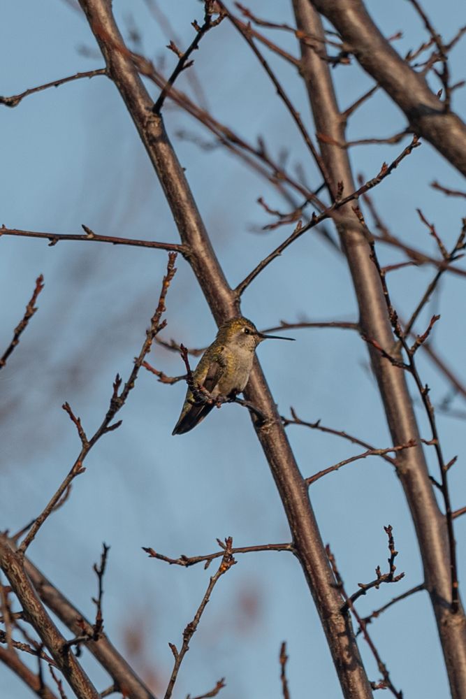 Photograph by Anna Vlasova