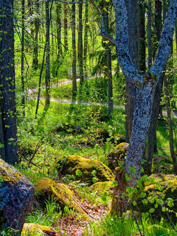 Photograph by Андрей Панин