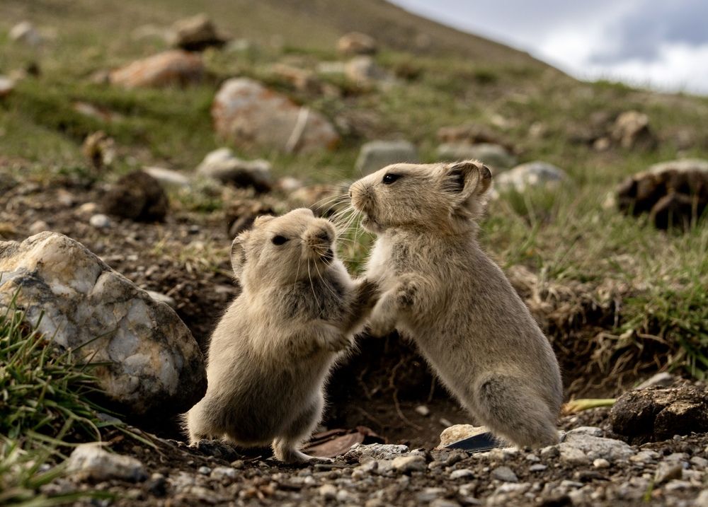 Photograph by Владимир Цветов