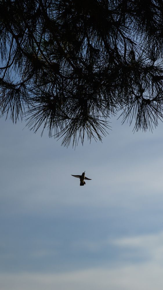 Photograph by Anna Vlasova