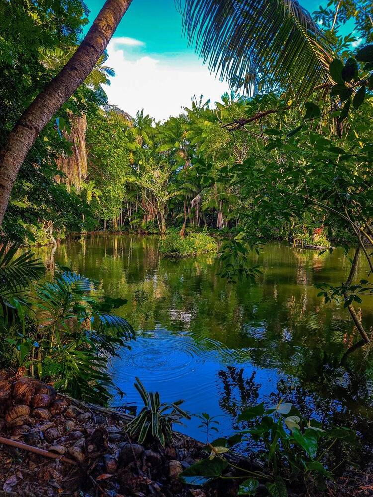 Фотография автора Walfrido Alexandre