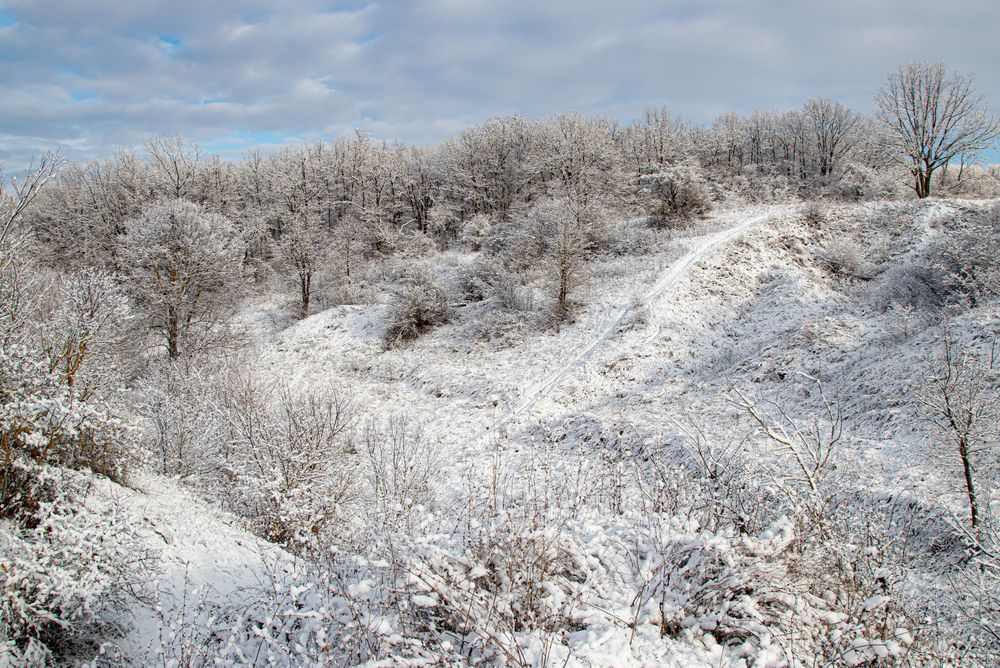 Photograph by Дмитрий Давидов