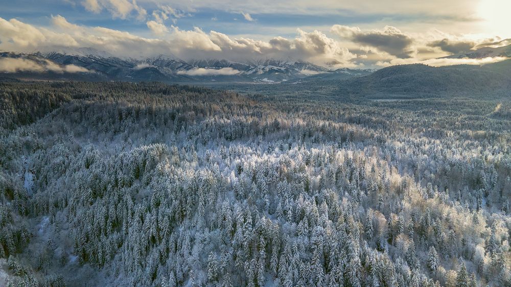 Photograph by TORNIKE PAPKIAURI