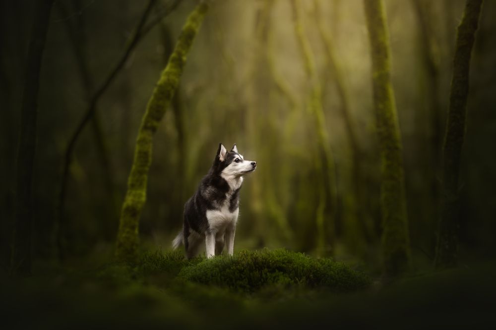 Photograph by Fleur Scholte