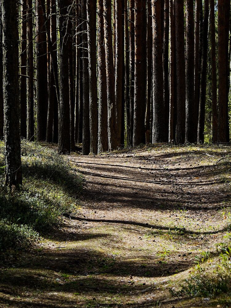 Photograph by Андрей Панин