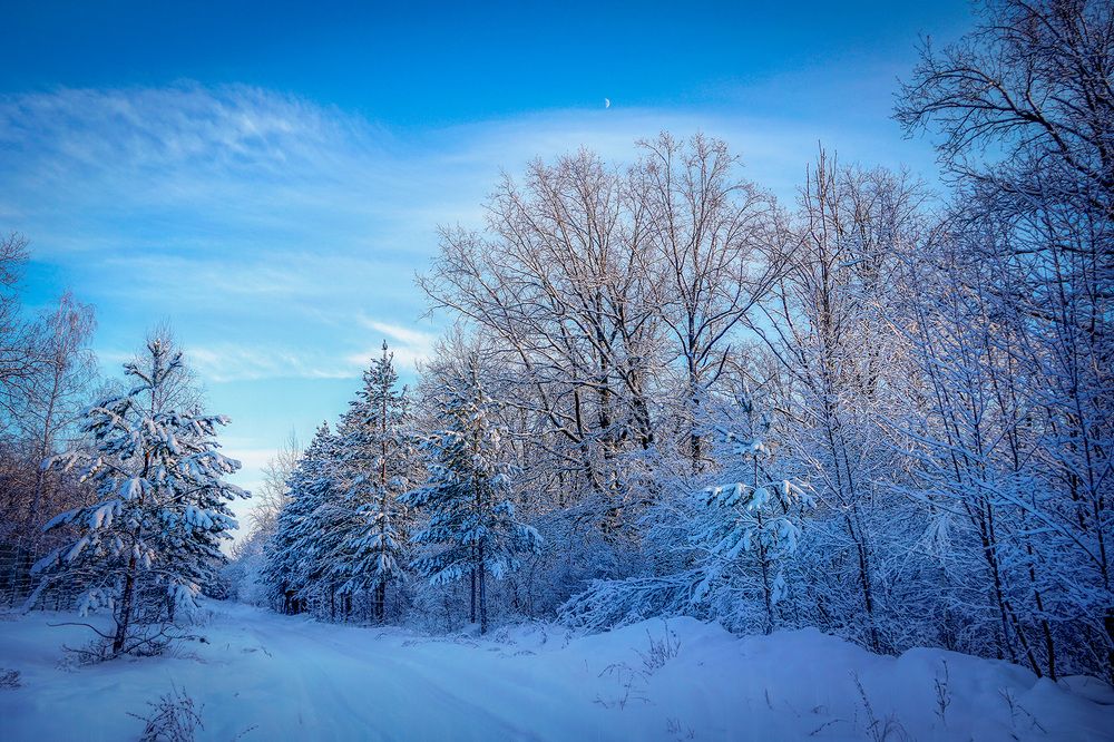 Photograph by Ткачёв Владимир