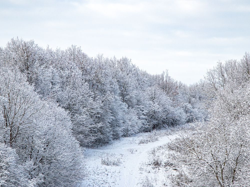 Photograph by Дмитрий Давидов