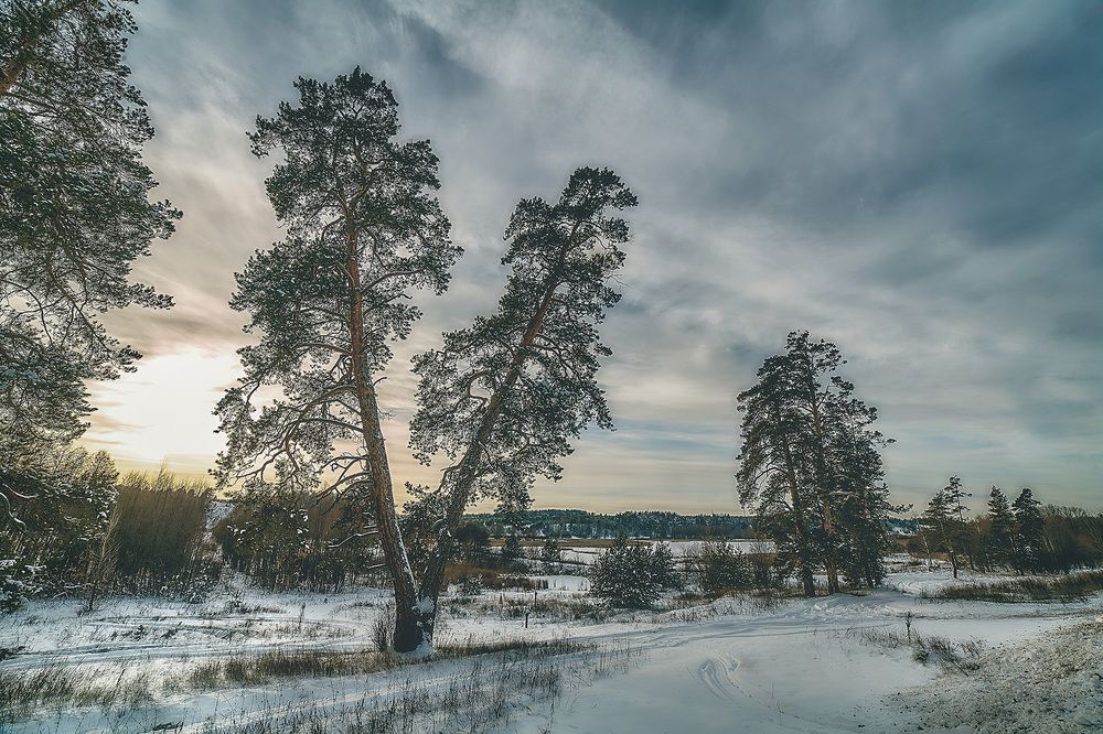 Photograph by Ткачёв Владимир