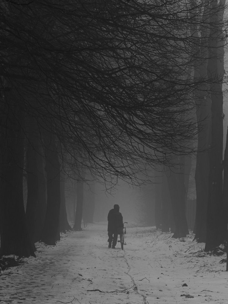 Photograph by Дмитрий Давидов