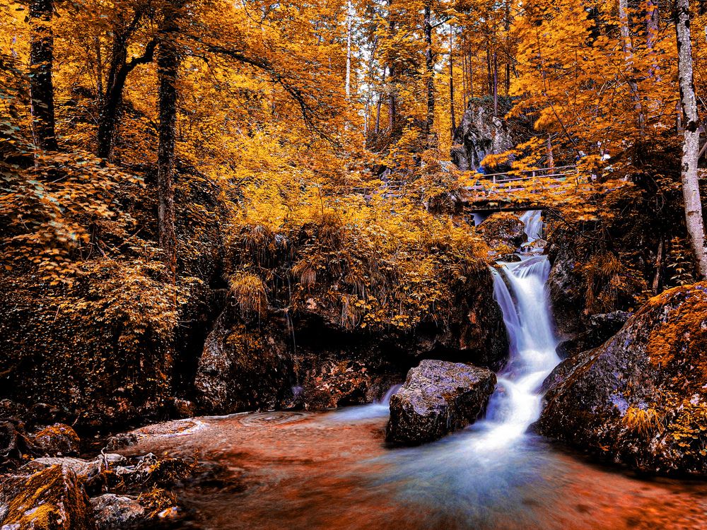 Photograph by Marko Stoickov