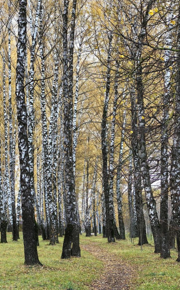 Photograph by Кристина Феминова