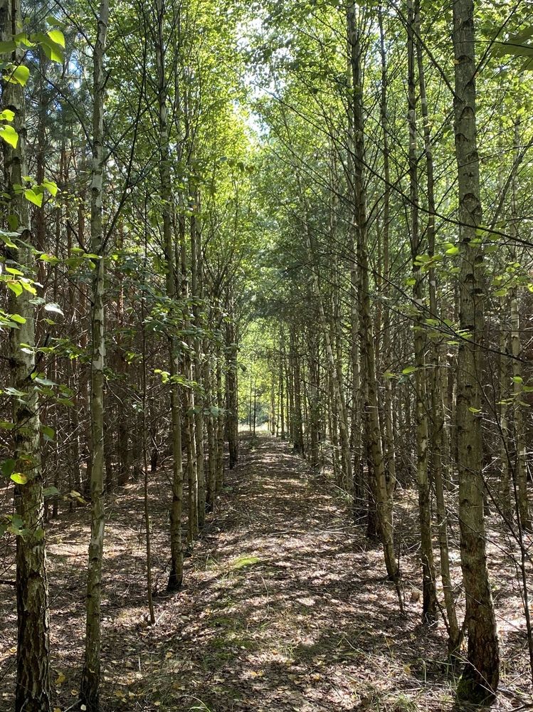 Фотография автора Светлана Герасимук