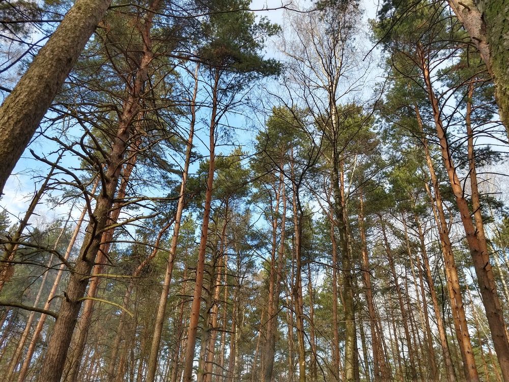 Photograph by Ольга Петрова