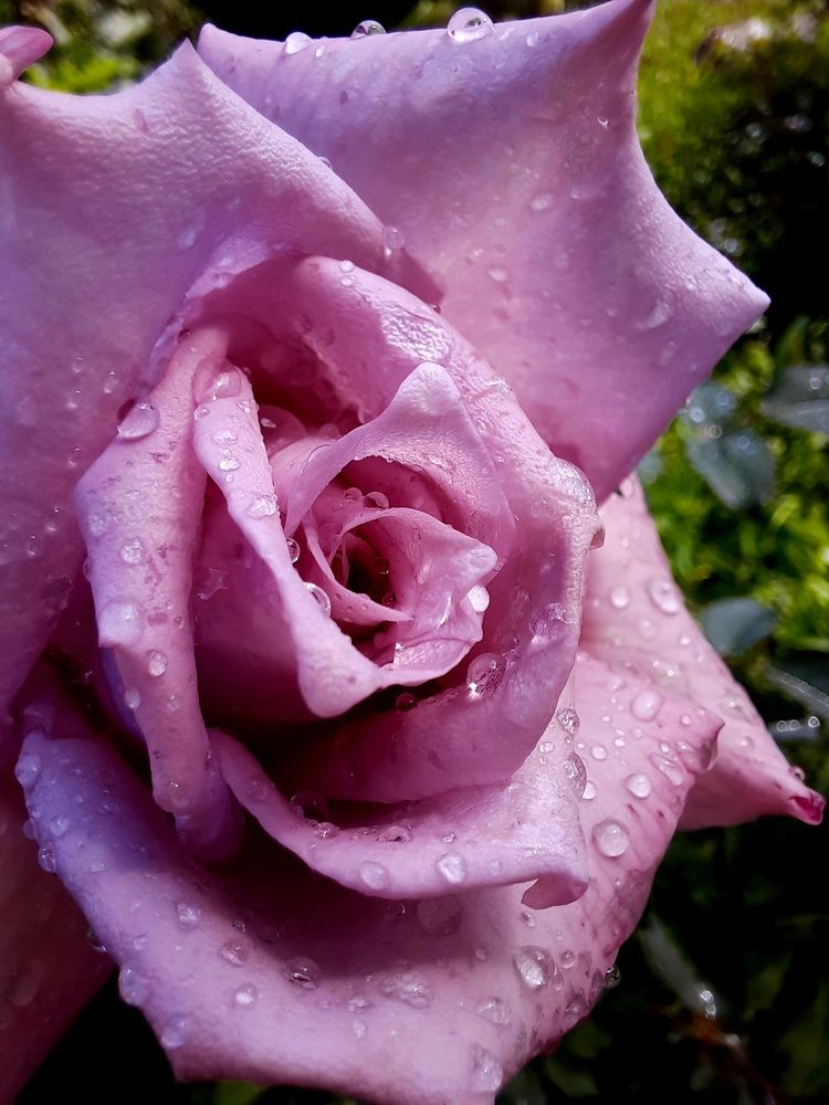 Photograph by Евгения Зазулина