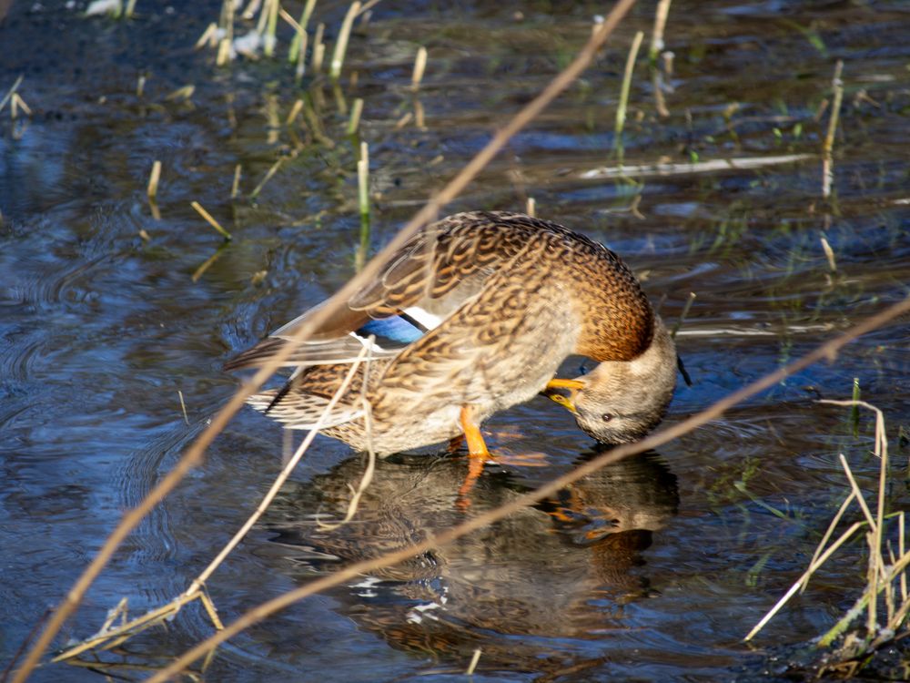 Photograph by Регина