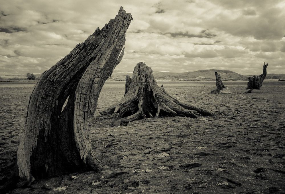 Photograph by АнДжейСан