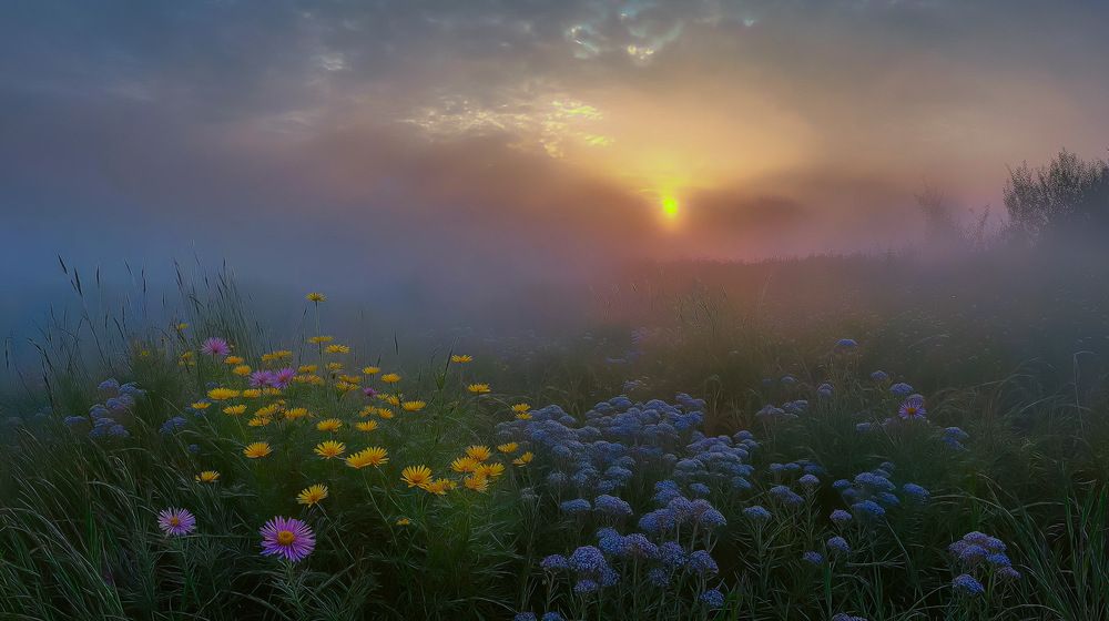 Летний рассвет