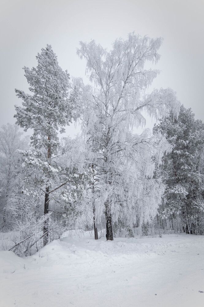 Photograph by Высотских Владимир