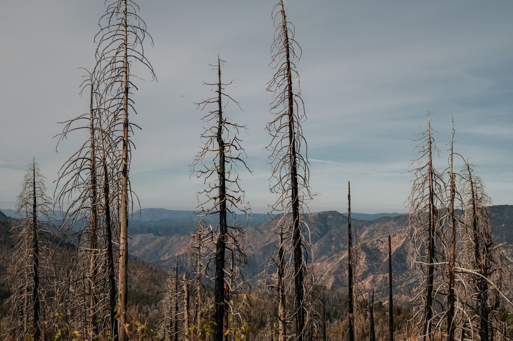 Photograph by Anna Vlasova