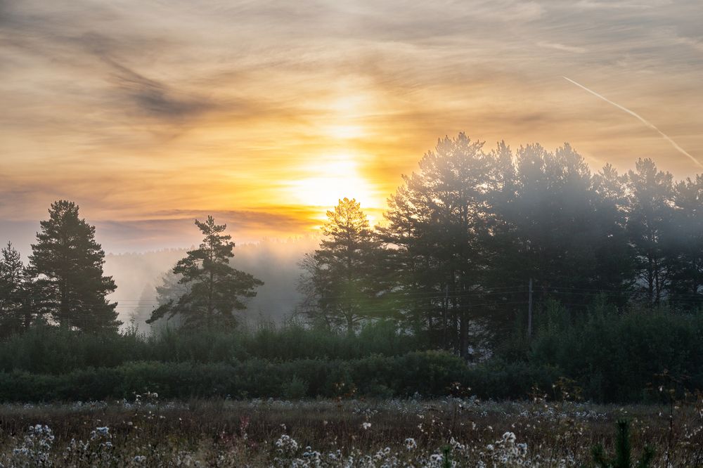 Photograph by Высотских Владимир