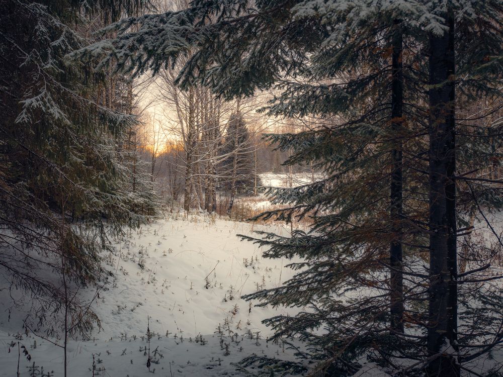 Photograph by Сергей Забиякин