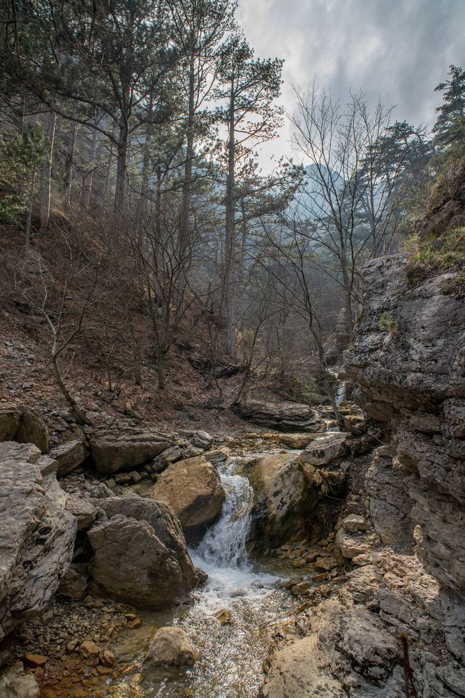 Лесная река