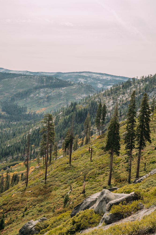 Photograph by Anna Vlasova