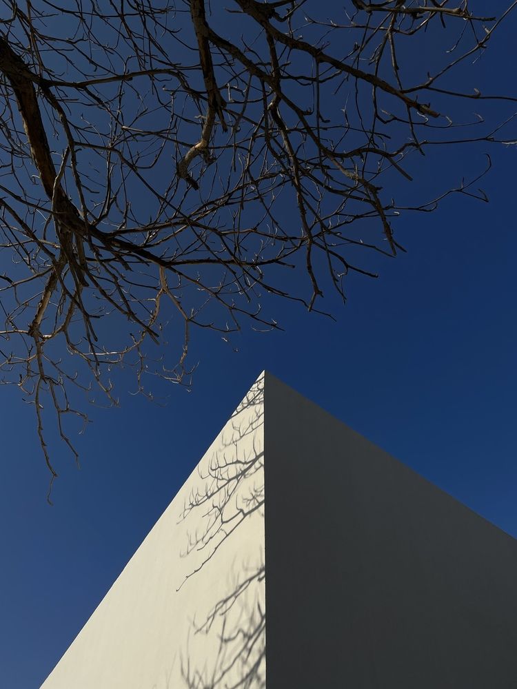 Photograph by Sergei Komlev