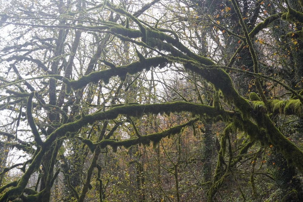 Photograph by Алфия Бугакова