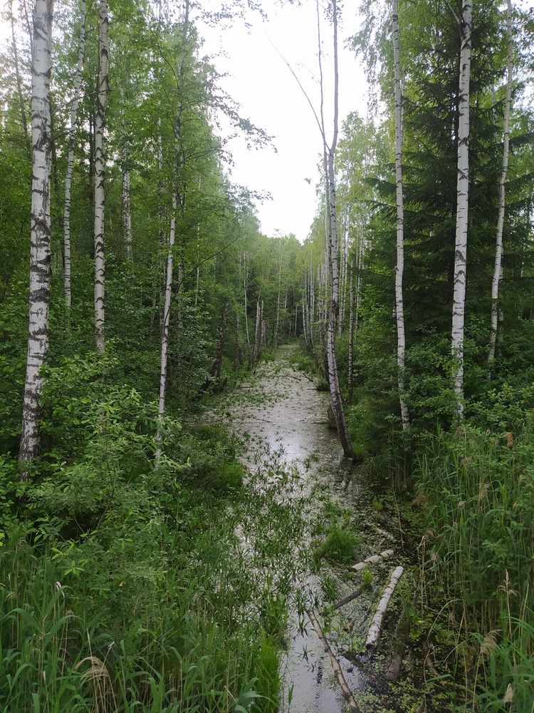 Photograph by Maryna Kukhtsikava