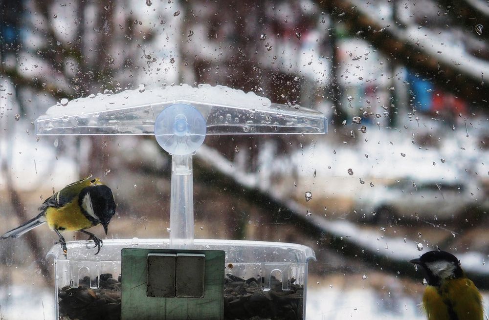 Фотография автора Гоголев Игорь