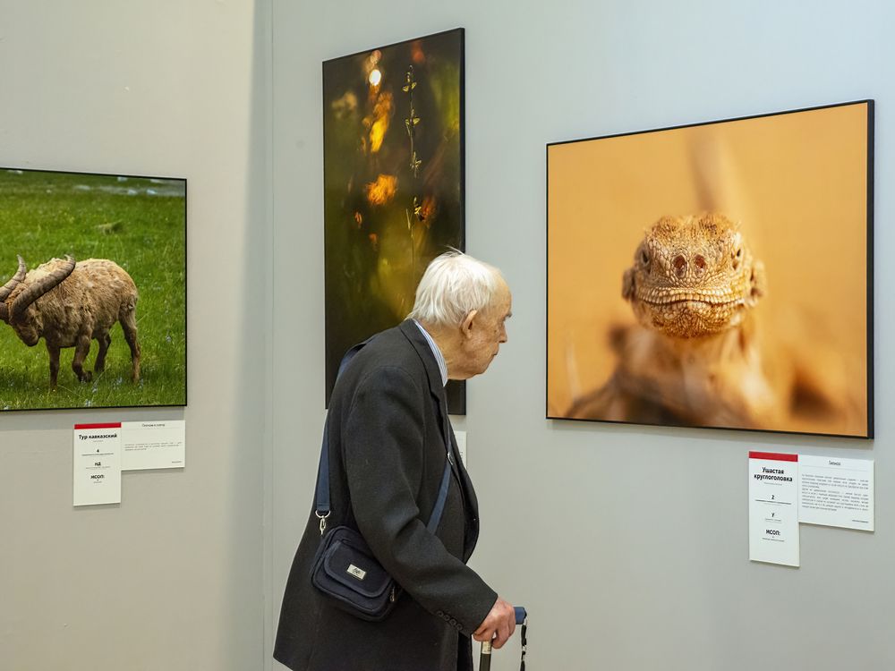 Photograph by Людмила Железнова