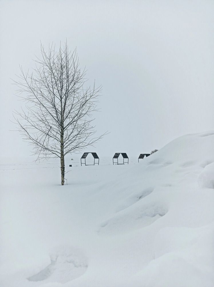 Photograph by Анна