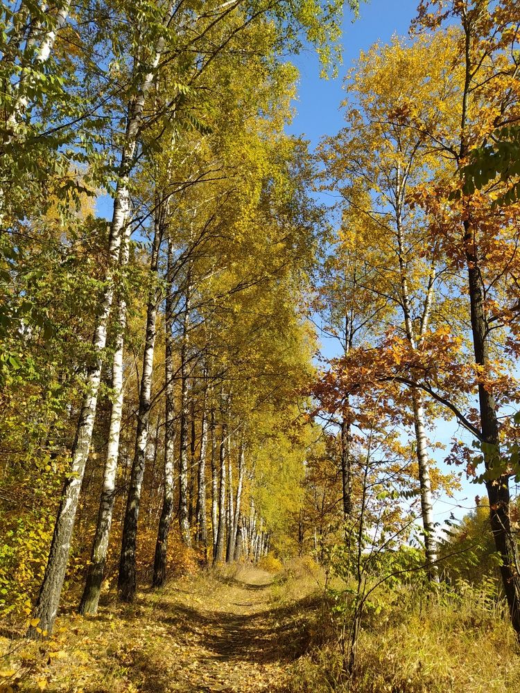 Photograph by Maryna Kukhtsikava