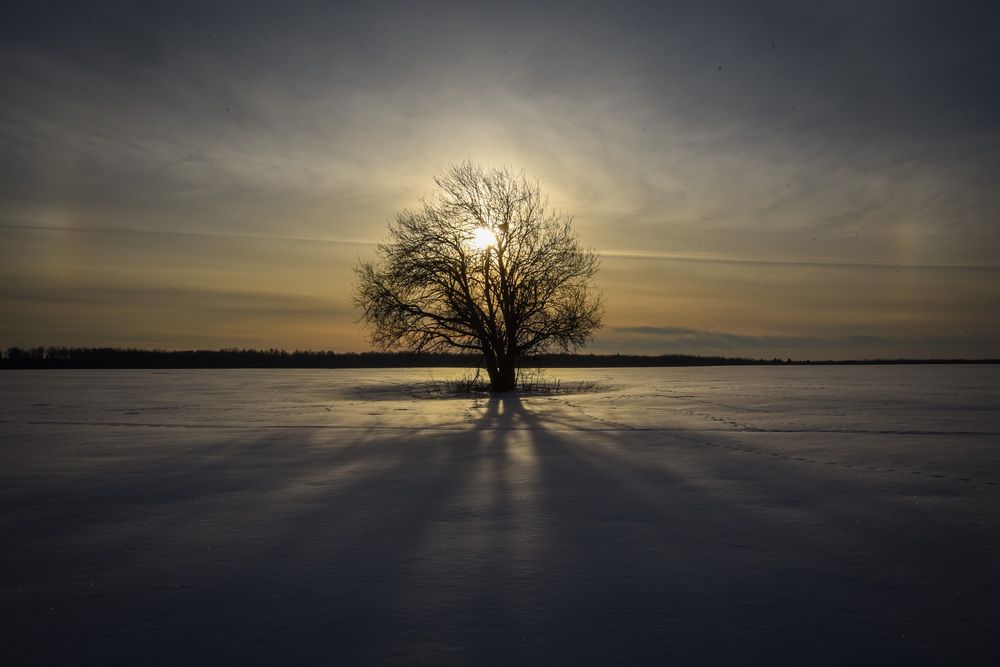 Фотография автора Злобин Сергей