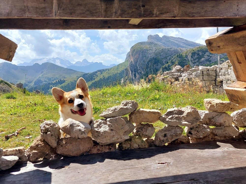 Photograph by Olgafotoos