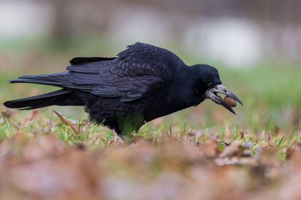 Photograph by Руслан Pl