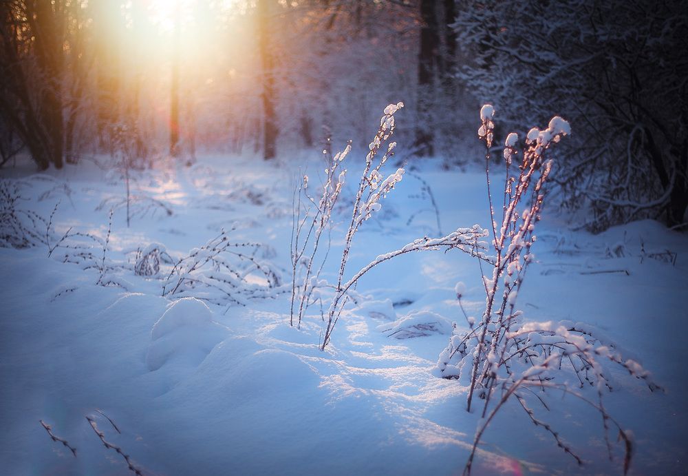 Photograph by Ткачёв Владимир