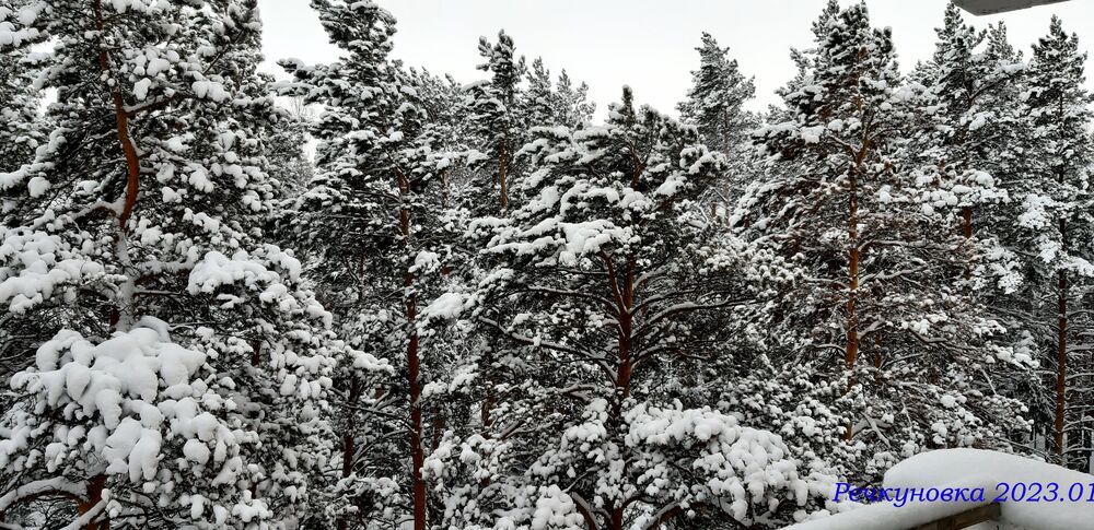 Photograph by Галина Агапкина