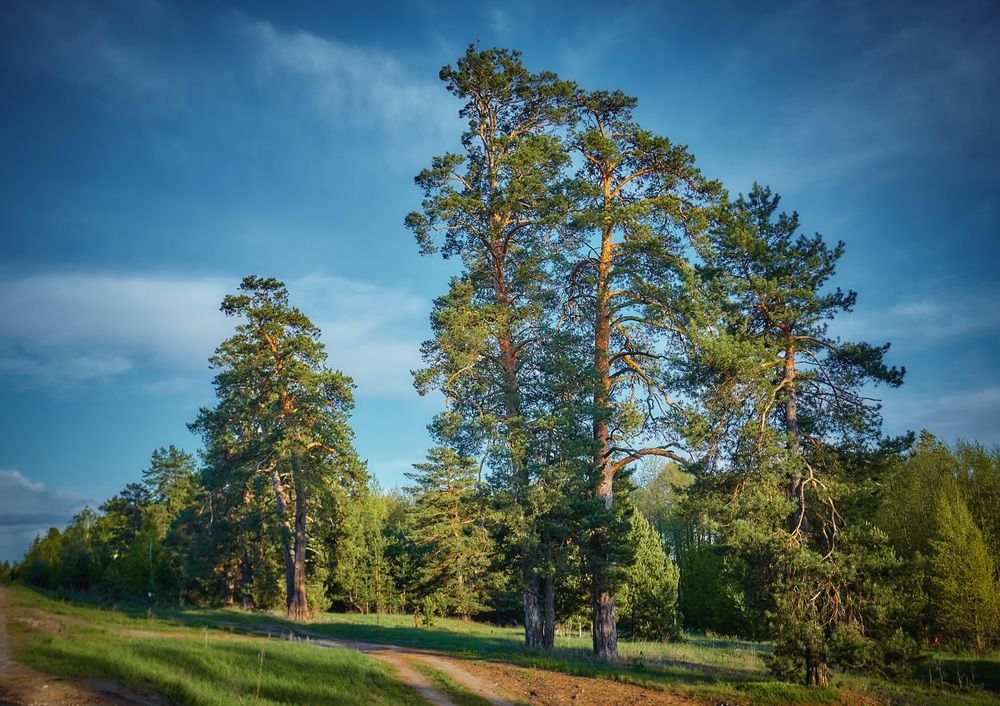 Photograph by Ткачёв Владимир