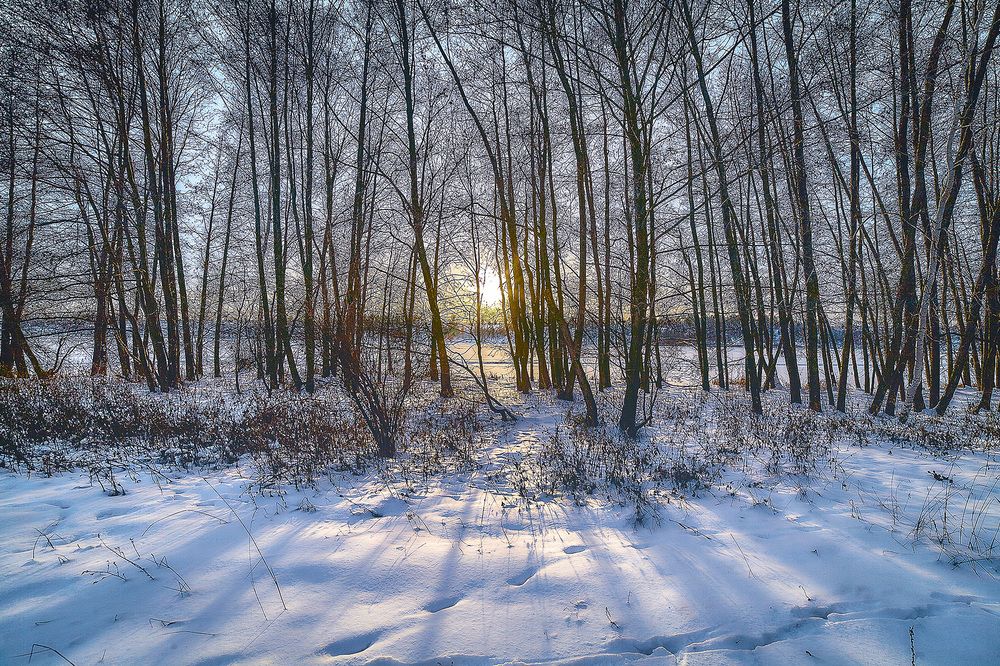 Photograph by Ткачёв Владимир