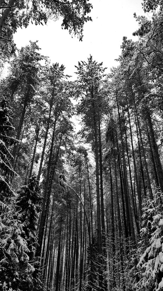 Photograph by Калюнова Наталья