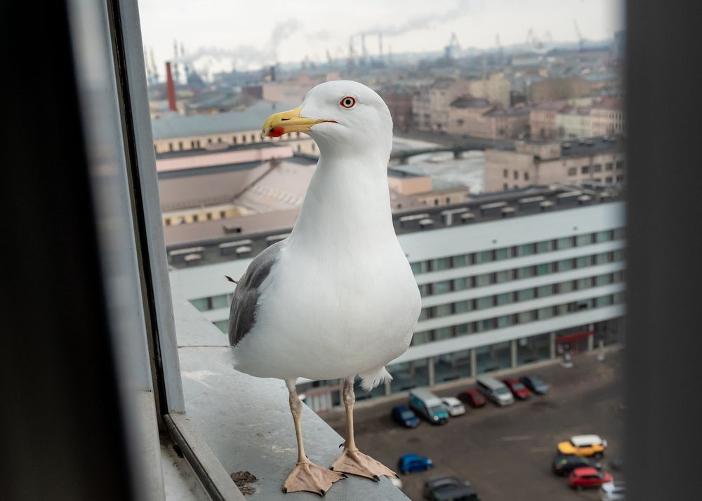 Photograph by Людмила Ковалева